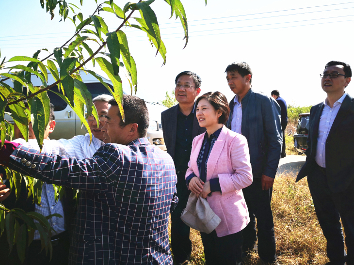 线上博彩平台排名集团党委副书记孙苹带队赴泗洪调研推进挂钩帮扶工作